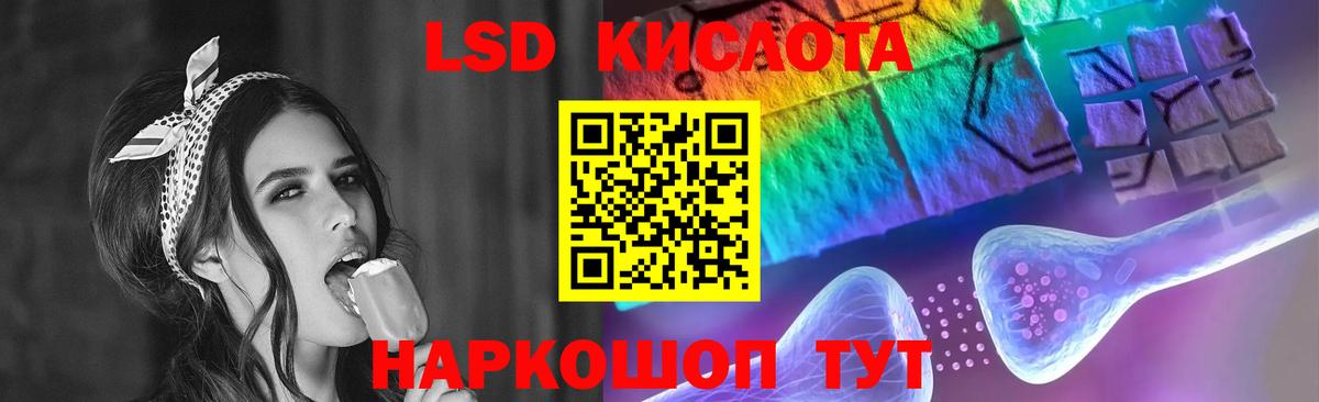 Бошки Шишки Малоярославец