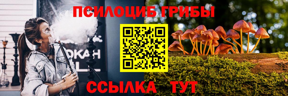 Малоярославец  Псилоцибиновые грибы Cubensis  сколько стоит  Вход с VPN  Псилоцибиновые грибы Psilocybe 