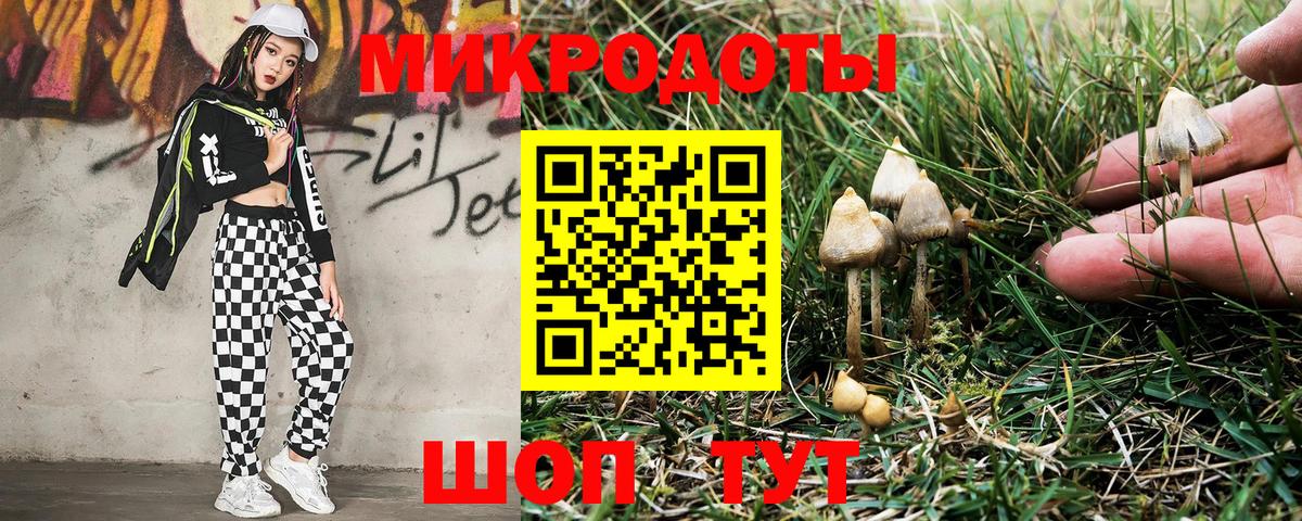 Галлюциногенные грибы прущие грибы Малоярославец